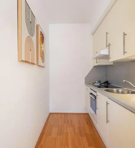 2 Separate Full - 5 Bedroom - Gym - Parking - Rooftop Апартаменти Відень